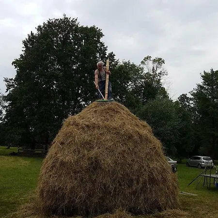 Lejlighed Zum Heuschober Burg