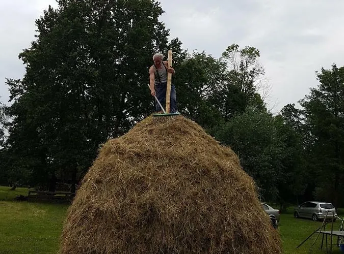 Lejlighed Zum Heuschober Burg