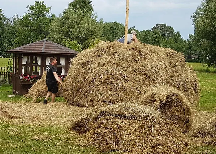 Apartamento Zum Heuschober Burg (Spreewald)